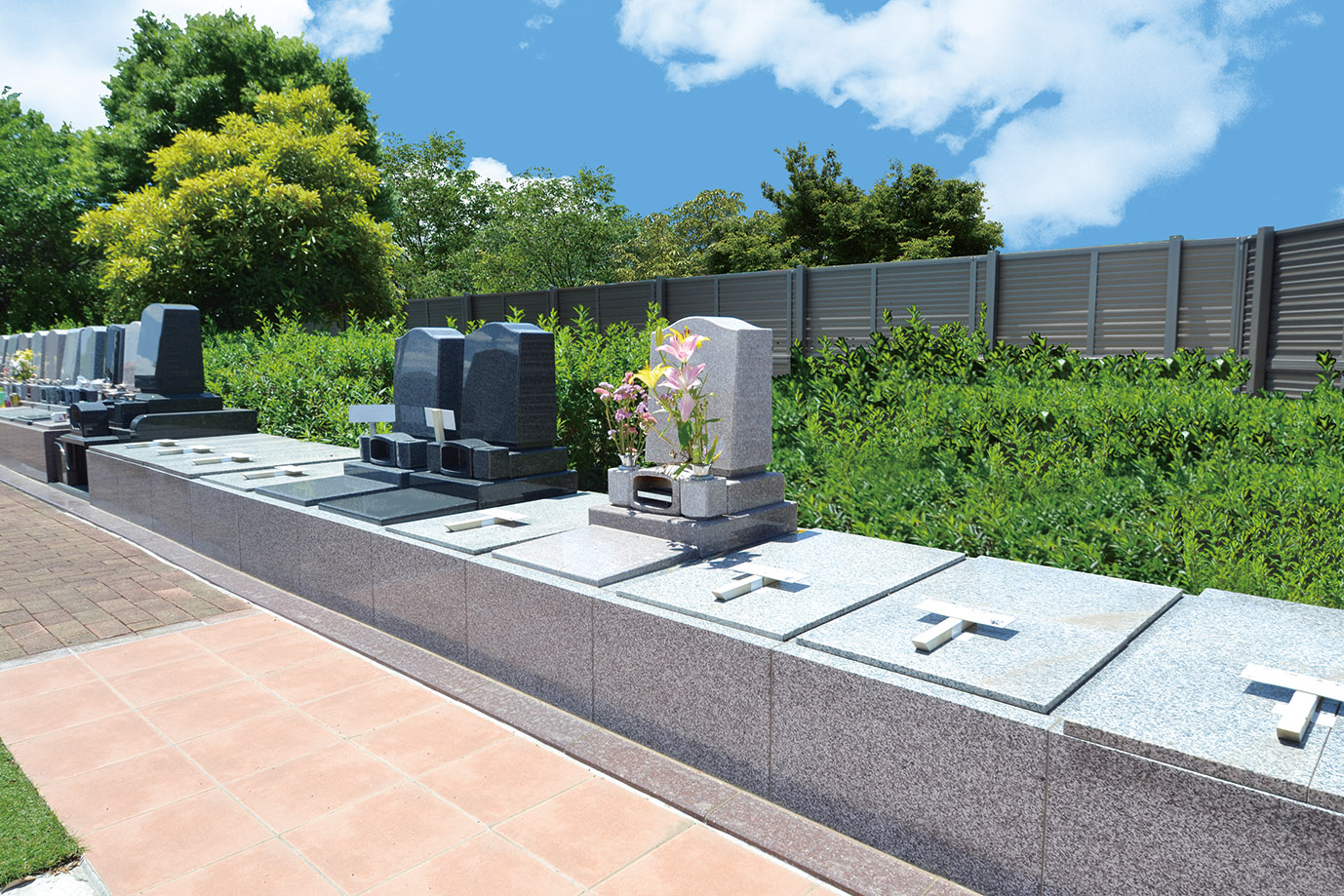 メモリアルガーデンセントラルパーク(流山)の写真2