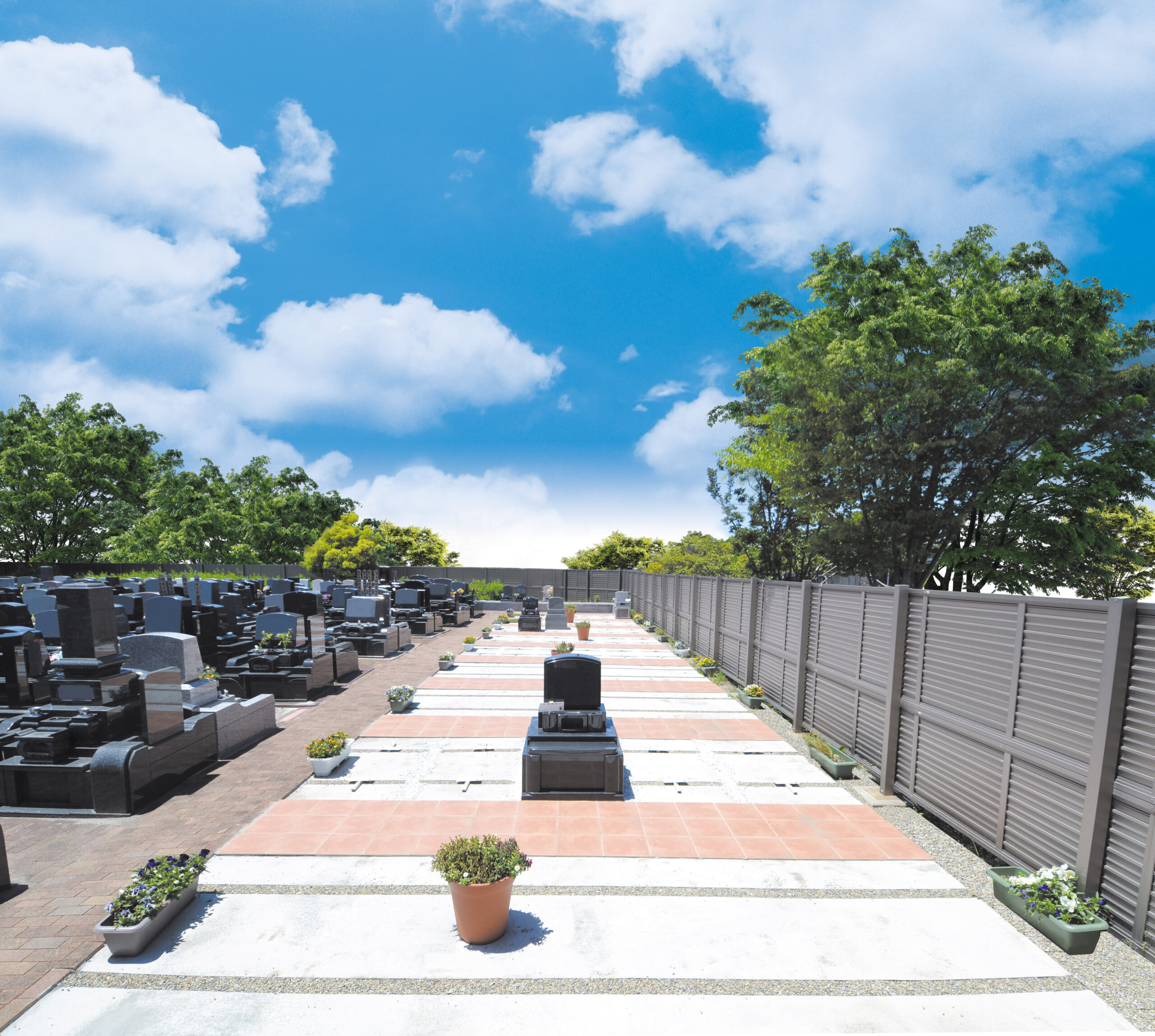 メモリアルガーデンセントラルパーク(流山)の写真3