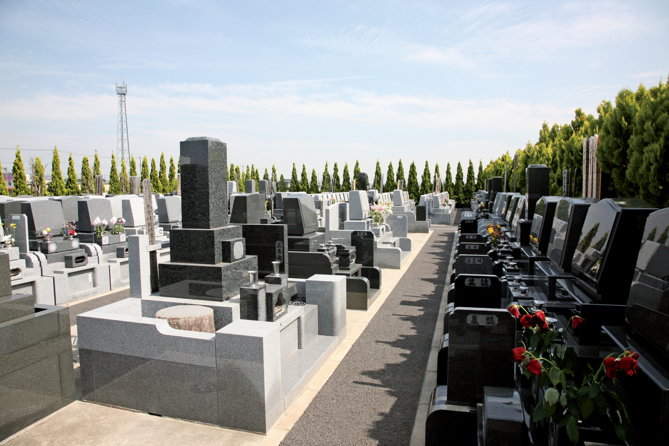 春日部メモリアルパークの写真3