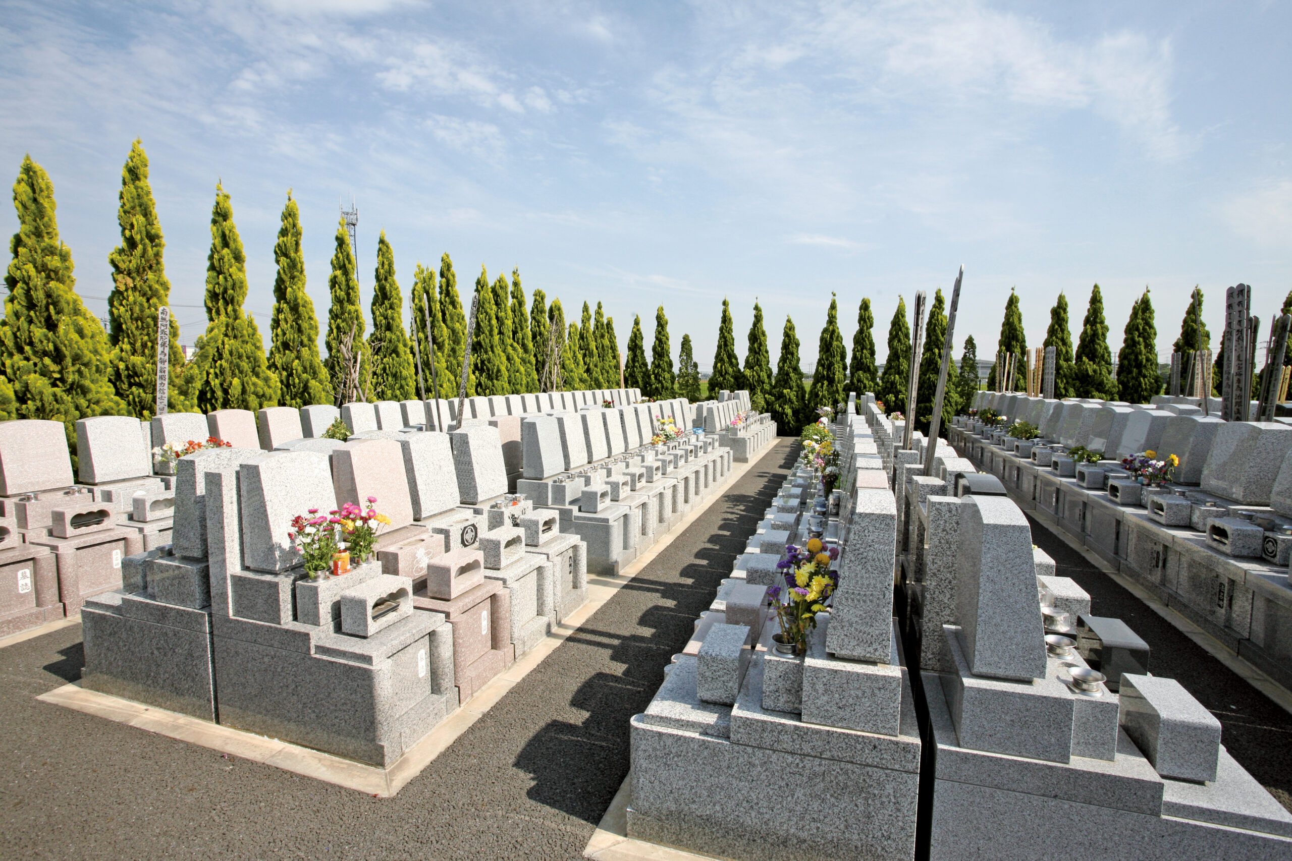 春日部メモリアルパークの写真2