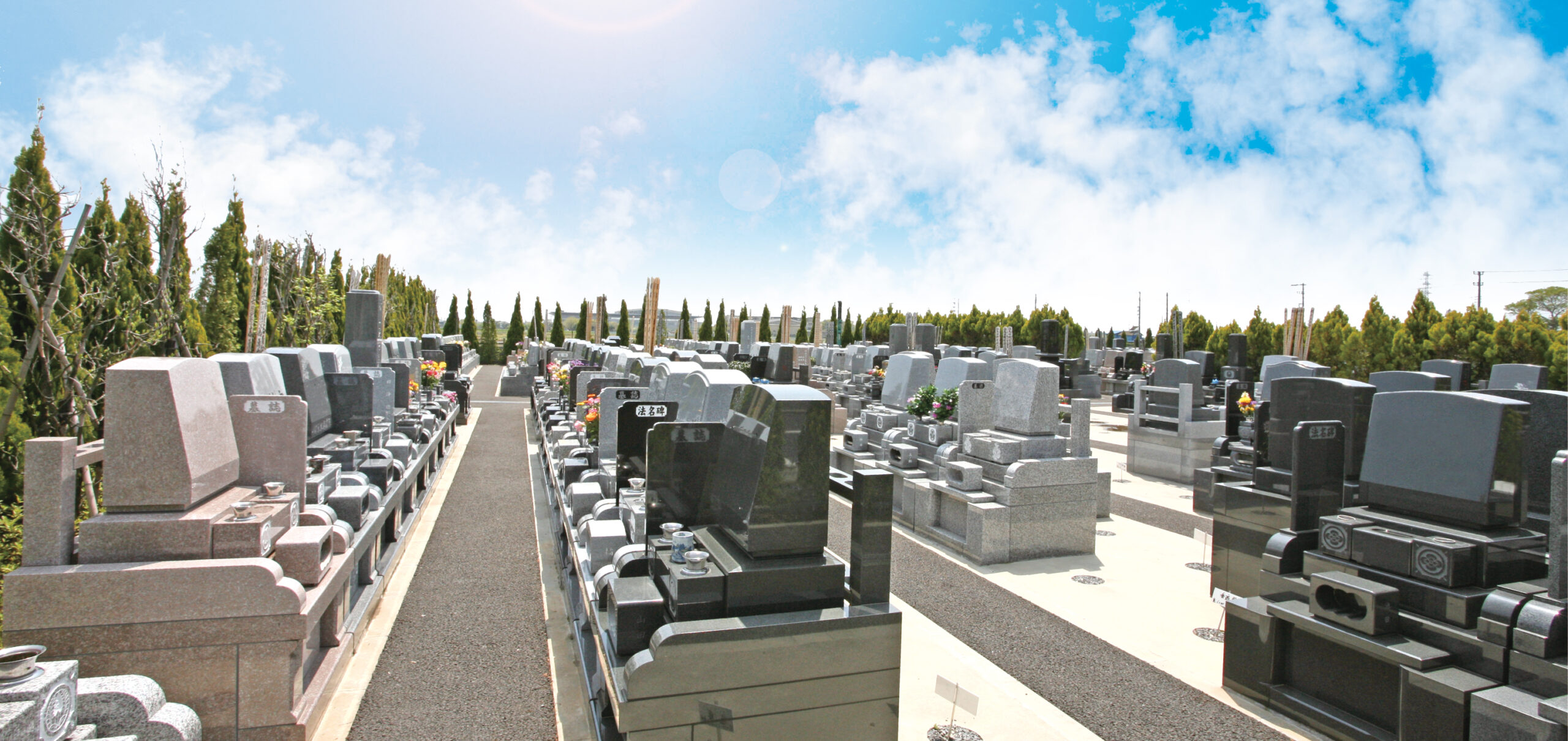 春日部メモリアルパークの写真1